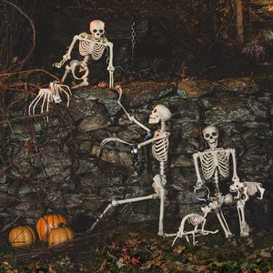 Halloween Poseable Full Life Skeleton