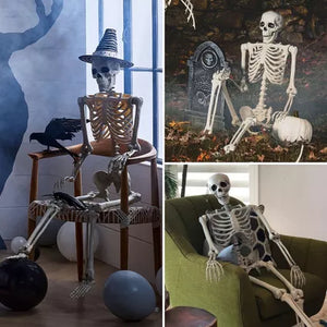 Halloween Poseable Full Life Skeleton