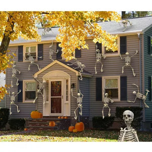 Halloween Poseable Full Life Skeleton