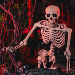 Halloween Poseable Full Life Skeleton