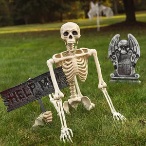 Halloween Poseable Full Life Skeleton