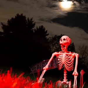 Halloween Poseable Full Life Skeleton