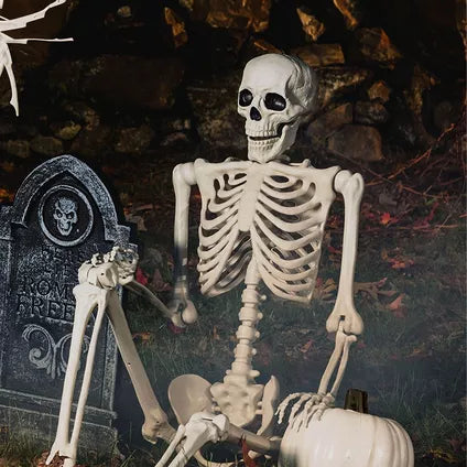 Halloween Poseable Full Life Skeleton